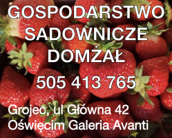 GOSPODARSTWO SADOWNICZE DOMŻAŁ 505 413 765 Grojec, ul Główna 42 Oświęcim Galeria Avanti Truskawki Grojec Biegaj z Gminą Oświęcim